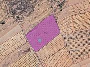 Terreno en Venta en Pinoso El Pinós