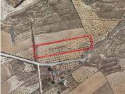 Terreno en Venta en Pinoso El Pinós