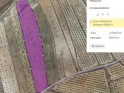 Terreno en Venta en Pinoso El Pinós