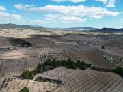 Terreno en Venta en Pinoso El Pinós