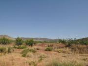 Terreno en Venta en Pinoso El Pinós