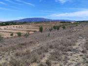 Terreno en Venta en Pinoso El Pinós