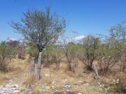 Terreno en venta en Plan de Ayala, Cuautla, Morelos