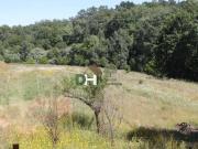 Terreno en Venta en Cáceres