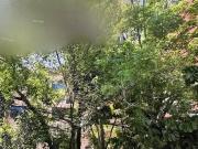 Terreno en venta en Polanco III Sección, Miguel Hidalgo,...