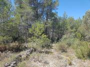 Terreno en venta en polígono, Ginestar, de 13.455 m² por...