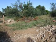 Terreno en venta en polígono Zn, Aldover, de 2.190 m²...