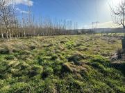 Terreno en Venta en Ponferrada