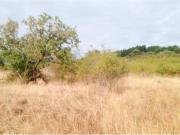 Terreno en Venta en Ponferrada