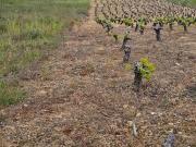 Terreno en Venta en Ponferrada