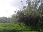 Terreno en Venta en Pontevedra