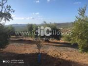 Terreno en Venta en Priego de Córdoba