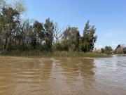 Terreno en venta en Primera seccción de Islas del Delta...
