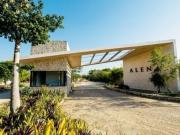 Terreno en venta en Privada Alena en progreso Yucatán...