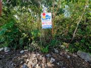 Terreno en Venta en Privada en Cholul, Mérida, Yucatán