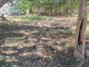 Terreno en venta en Privada Parque Central