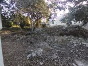 Terreno en venta en Privada residencial Natura en Mérida...