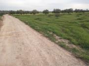Terreno en venta en Puebla de Sancho Pérez