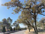 Terreno en venta en Puebla – Fraccionamiento Haras del...