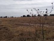 Terreno en venta en Pueblo Nuevo de Morelos, Zumpango,...