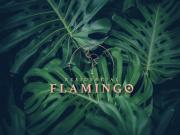 Terreno en venta en Pueblo San Bruno, Cancún, Yucatán