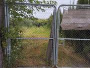 Terreno en Venta en Puente Genil