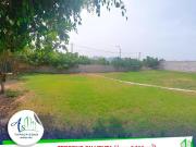 Terreno en venta en Puente Piedra a $600