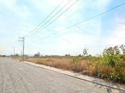 Terreno en venta en Puerta Grande, Tala, Jalisco