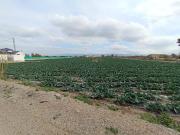 Terreno en Venta en Puerto Lumbreras