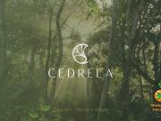 Terreno en venta en Puerto Morelos, Cancún, Quintana Roo