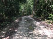 TERRENO EN VENTA EN LA RUTA DE LOS CENOTES 5000 M2