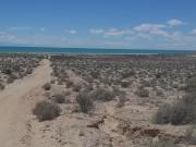 Terreno en venta en Puerto Peñasco Centro, Puerto...