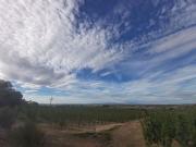 Terreno en venta en Puigverd de Lleida, de 37.500 m² por...