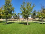 Terreno en venta en Punta Bosque, Saltillo, Coahuila de...