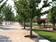 Terreno en venta en Punta Bosque, Saltillo, Coahuila de...