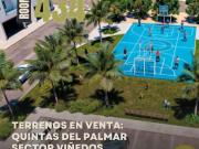 Terreno en venta en Quintas del Palmar, Torreón,...