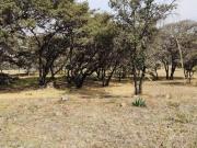 TERRENO EN VENTA EN RANCHO BLANCO ATIZAPAN