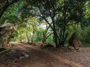 Terreno en Venta en Rancho Mahagua Manzanillo