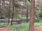 Terreno en Venta en Rancho San Francisco