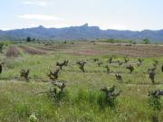 Terreno en venta en Rasquera, de 10.600 m² por 45.000