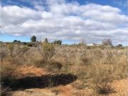 Terreno en Venta en Real