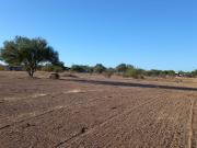 Terreno en venta en Real del Alamito [Fraccionamiento...