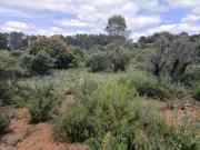 Terreno en Venta en Renera