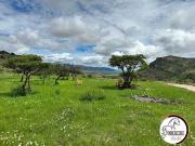 Terreno en venta en Residencial Casa Blanca, Durango