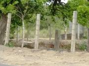 Terreno en Venta en Residencial del Bosque, Veracruz,...