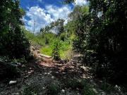 Terreno en Venta en RESIDENCIAL REGATTA