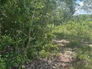 TERRENO EN VENTA EN RESIDENCIAL SANTANA