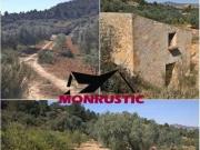 Terreno en venta en Riba Roja d´Ebre, de 22.203 m² por...