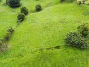 Terreno en Venta en Ribadesella