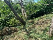 Terreno en venta en Ricardo Flores Magón, Cancún, Veracruz